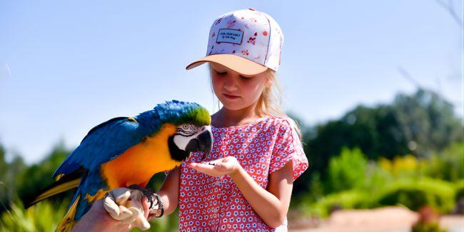 Un anniversaire magique pour les enfants au Parc des Oiseaux 