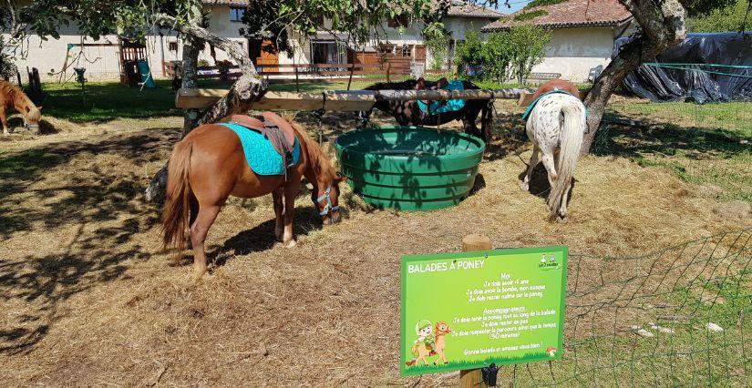 Balades à poney pour les enfants à la ferme les 2 Cocottes - près de Bourg-en-Bresse