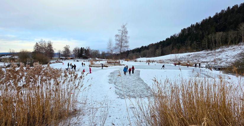 Patin à glace sur le lac gelé à Lalleyriat : glisse en famille dans le Haut-Bugey
