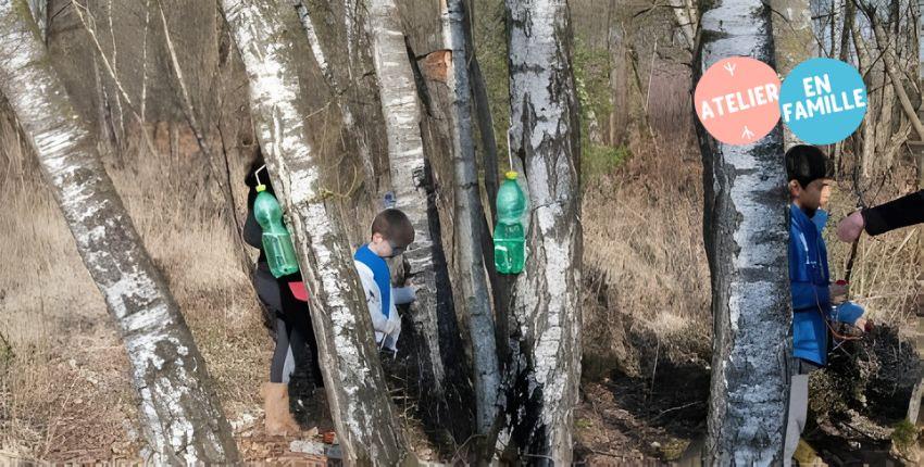Le bouleau et le boulot : atelier nature en plein-air familial avec la Maison de l'Eau et de la Nature - Pont-de-Vaux