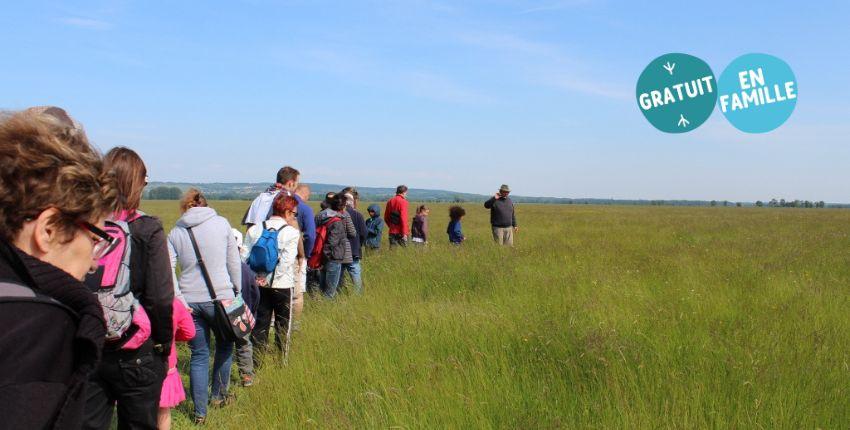 Les oiseaux protégés de nos prairies inondables : sortie nature en famille avec la Maison de l'Eau et de la Nature - Pont-de-Vaux