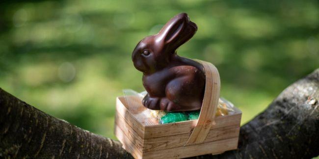 Chasse aux oeufs 2026 à Dinoplagne en famille - près d'Oyonnax