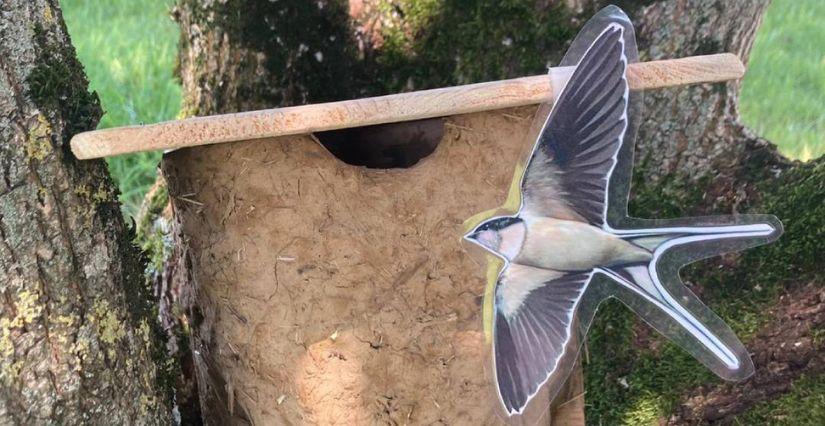 Atelier enfant "fabrication d’un nid d’hirondelles" à la ferme de la Forêt de Courtes 