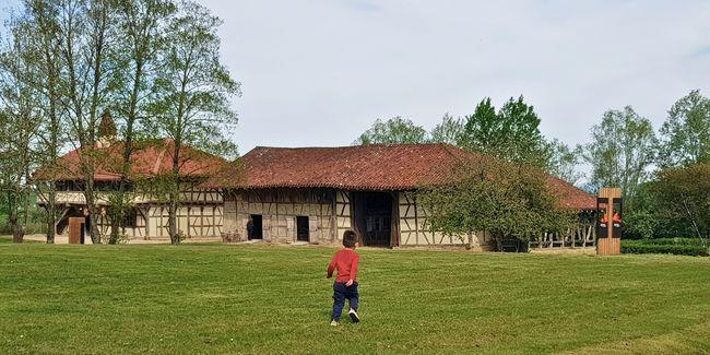 Ferme de la Forêt à Courtes : Voyagez dans le temps en famille près de Bourg-en-Bresse !