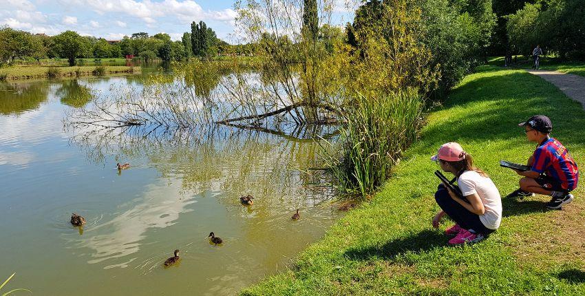 "Rallye Faune : ouvrez grand les yeux ! " à la Maison de l'Eau - Pont-de-Vaux !