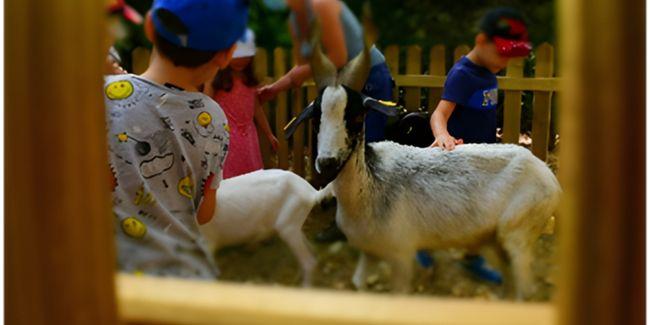 Les mini-fermes pédagogiques s'installent à la Ferme de la Forêt !