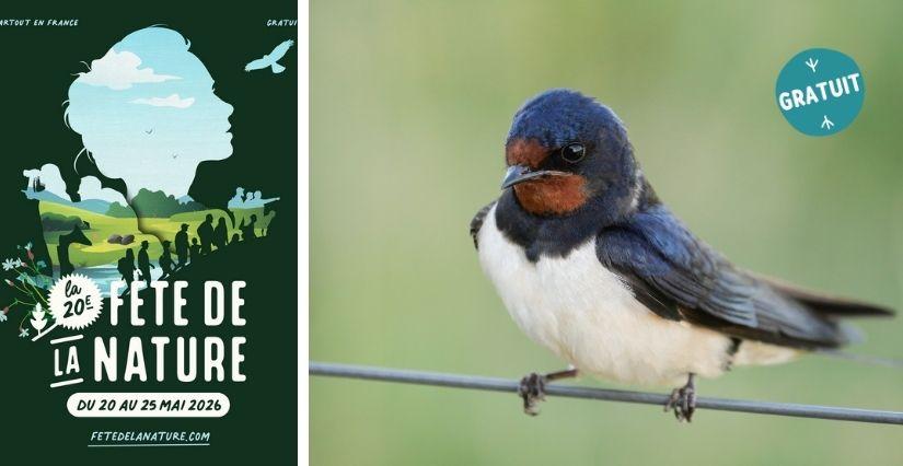 Fête de la Nature en famille à la Maison de l'Eau et de la Nature 