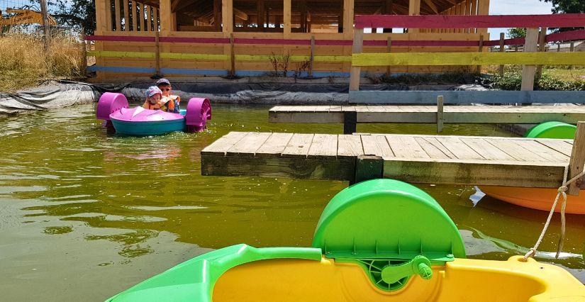 Vacances d'été : La Ferme Les 2 Cocottes vous accueille 7j/7 ! - entre Mâcon et Bourg-en-Bresse