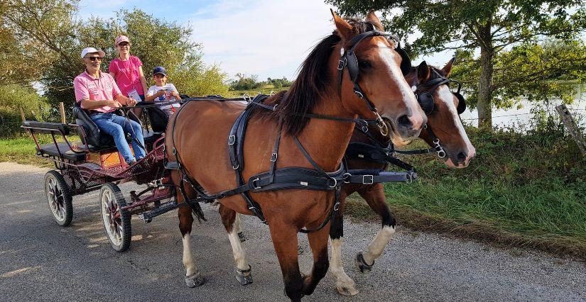 Les Calèches Lyonnaises : une balade insolite en famille aux portes de Lyon