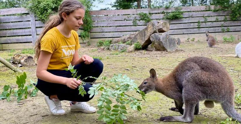 Stage enfant "Soigneur animalier " au Domaine de la Dombes
