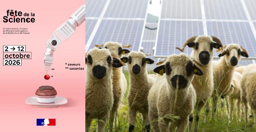 Fête de la Science 2026 dans la Plaine de l'Ain : visite du parc photovoltaïque CNR 