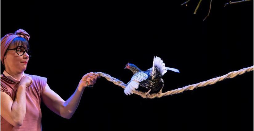 Spectacle de cirque « Poil de la bête » dès 5 ans au Bordeau à Saint-Genis-Pouilly en famille