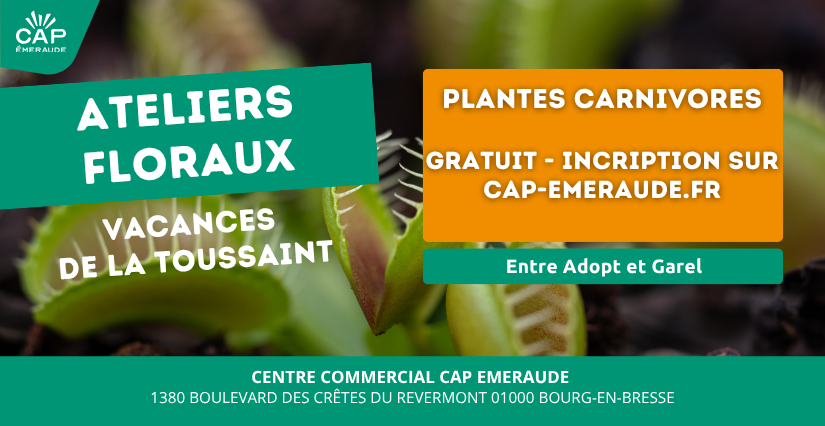 Atelier floral enfant à Cap Emeraude - Bourg-en-Bresse