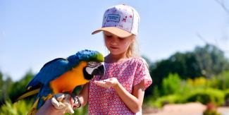 Un anniversaire magique pour les enfants au Parc des Oiseaux