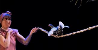 Théâtre Le Bordeau : le plein de spectacles et d'ateliers à partager en famille à Saint-Genis-Pouilly